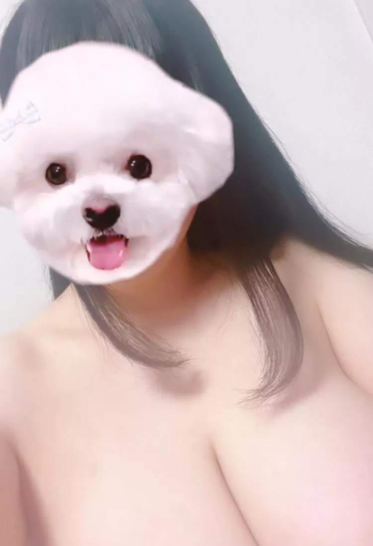 みずき写真