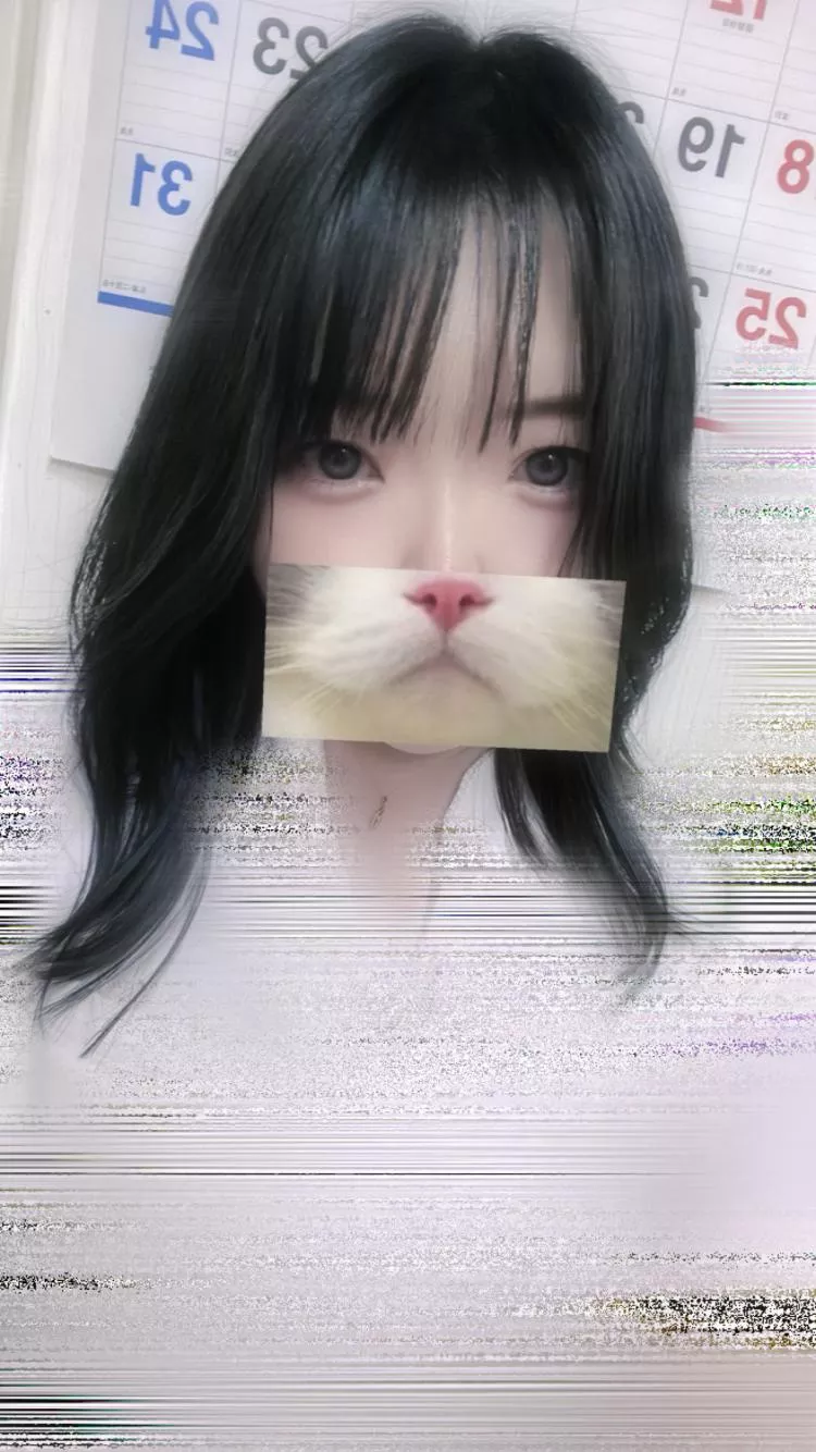 さえ写真