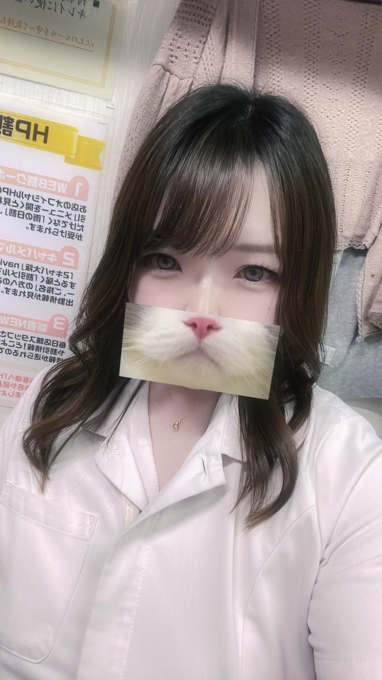 さえ写真