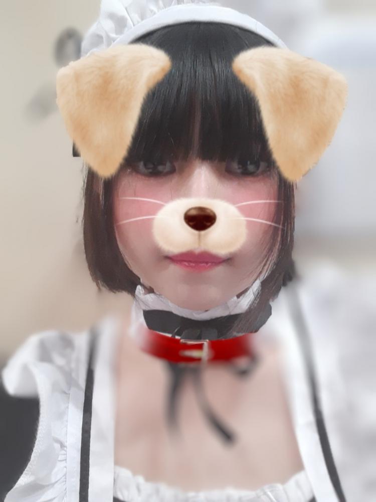 さくら写真