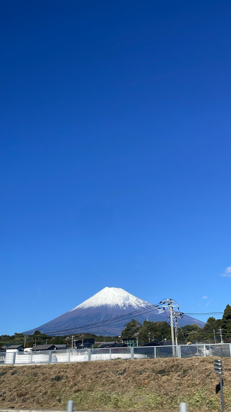 ミク写真