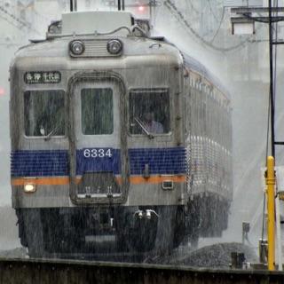 そろそろ梅雨に入る頃かな。